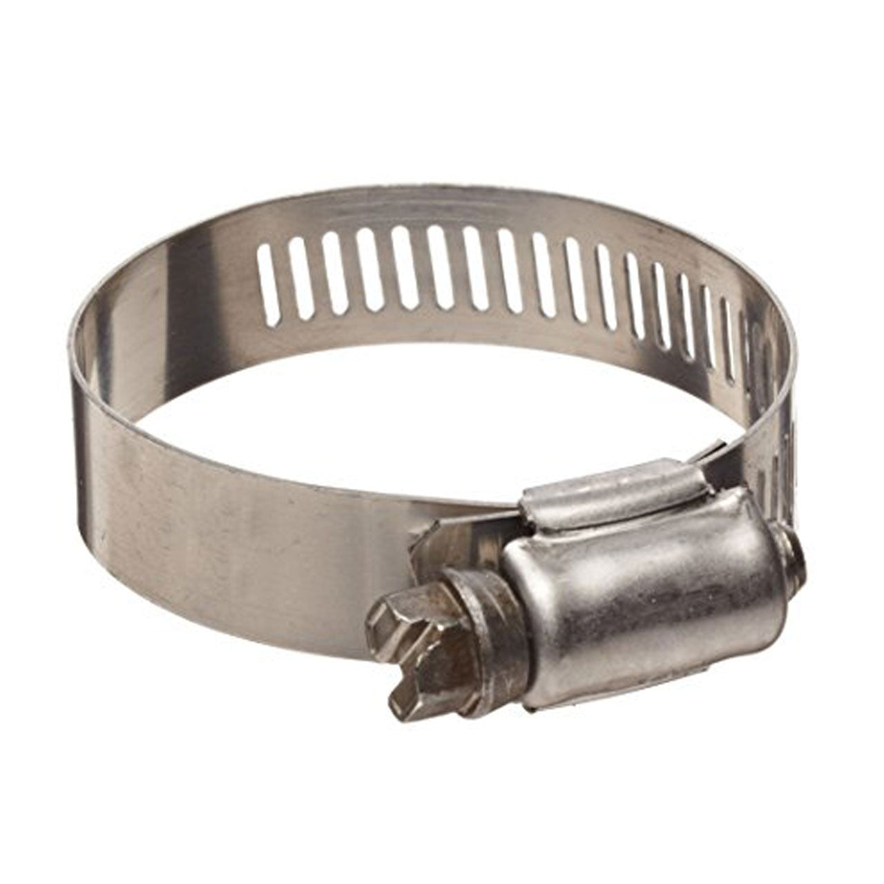Stainless Steel Hose Clamp (10 per Bag)